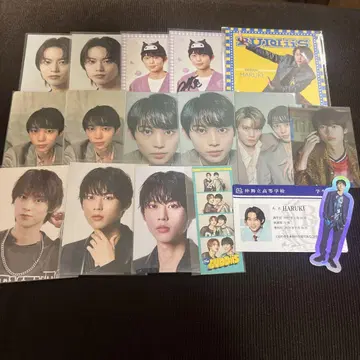 BUDDiiS HARUKI 스티커 트레이딩 카드 묶음 판매