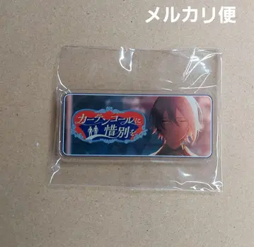프로세카 카미시로 루이 배너 배지 이별