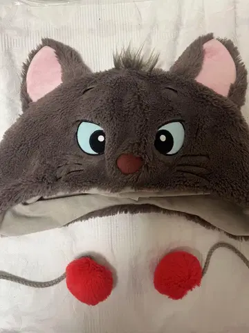 베를리오즈 팬 캡