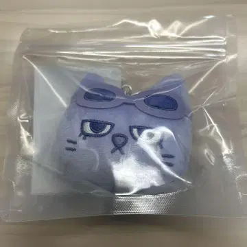 BOYNEXTDOOR POPUP 펑크드 페이스 키링 테푼