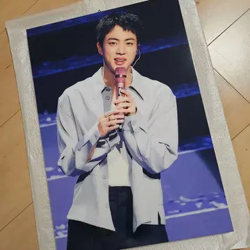 BTS JIN 패널 A3