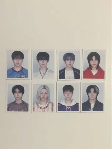 Stray Kids 시그리 2025 ID 사진
