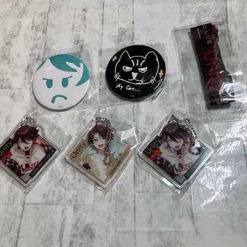 미에다 아키나 1st LIVE Unity 캡슐 토이 묶음 판매