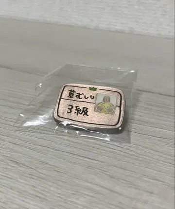 치이카와 (먼작귀) 핀즈 컬렉션 2
