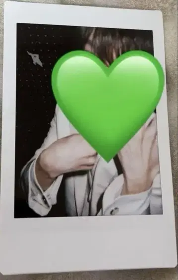 라부시쿠 료 핑 폴라로이드