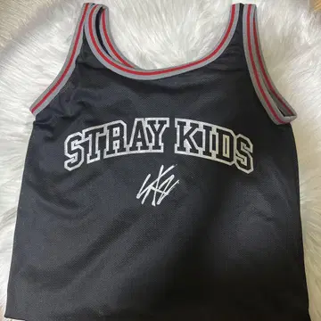 StrayKids 스키즈 에코파 업그레이드 혜택 메쉬 백
