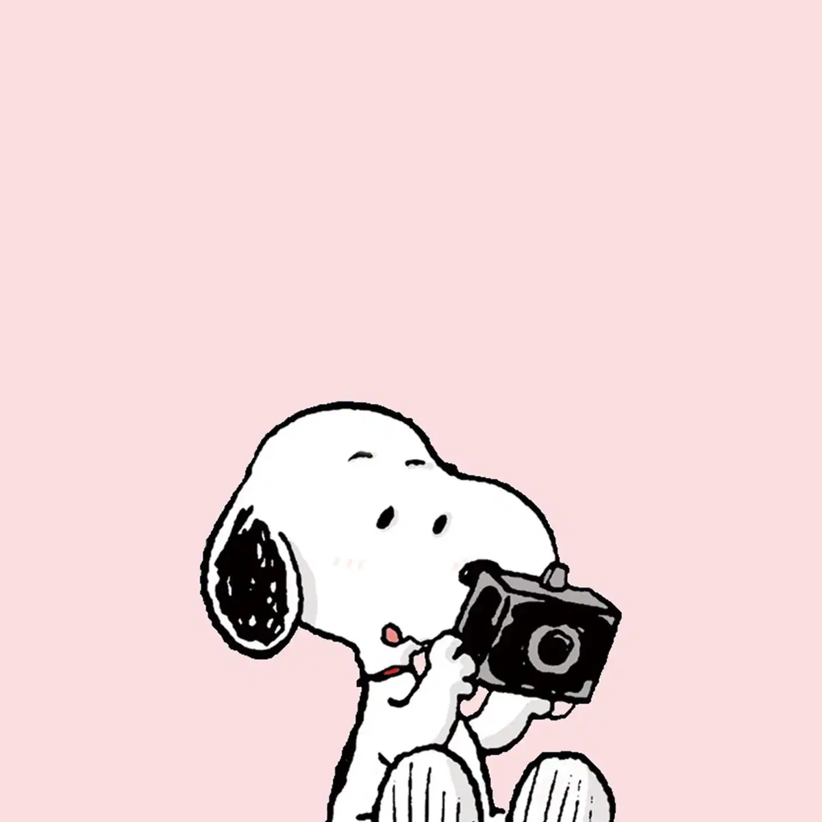 【E2280】Panasonic LUMIX DMC-FS7 ピンク Panasonic Lumix DMC-FS7 Digital Camera (Pink) DMC-FS7P B&H Photo