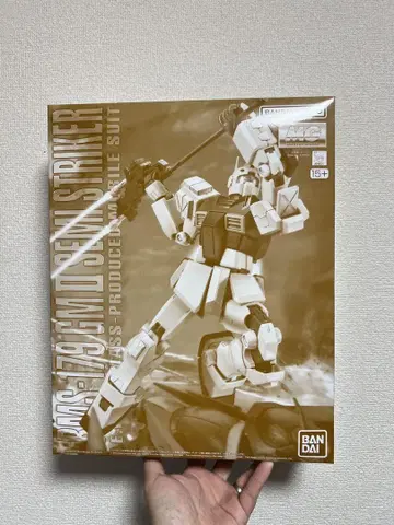 MG 1/100 헬스장 II 세미 스트라이커