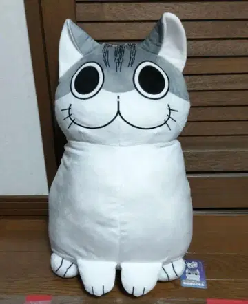 밤에는 고양이와 함께 BIG 봉제 인형 쿠루가 GIGO 한정판
