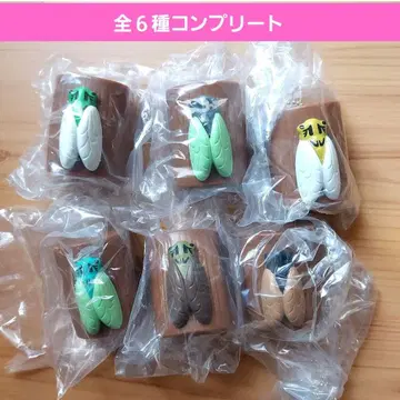 매미의 울음소리 가챠가챠 풀 컴프 민민 매미 곰 매미 아부라 매미