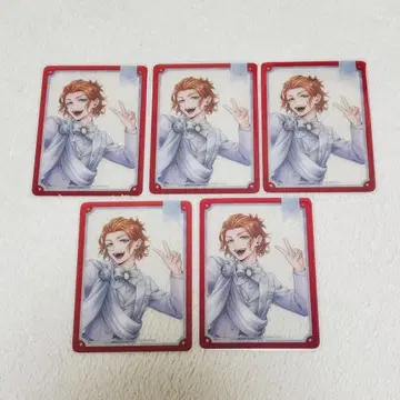 트위스티 플라티나 자켓 클리어 카드 케이트 5장