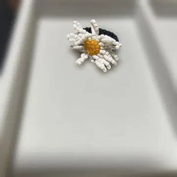 아프로지오 앤 코