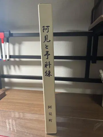 아미와 예과련 아미정