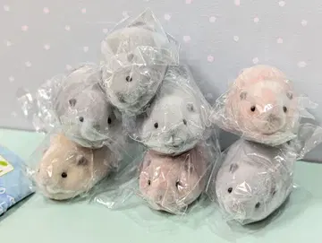 노세노세, 해보자. 비버 7개 세트