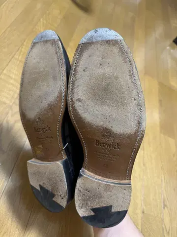 버윅 U 칩 코도반