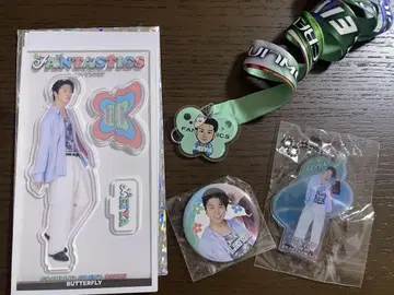 세구치 레이야 세트