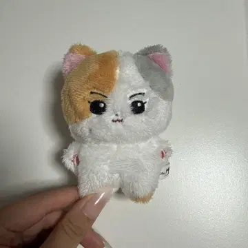 정원 봉제 인형