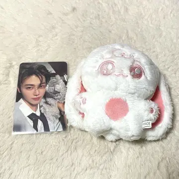 제민 봉제 인형 마스터 10cm 뽀잼이 NCT DREAM 트레이딩 카드