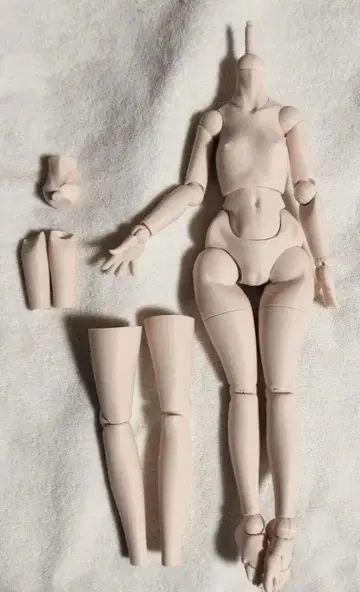 딜러 제작 3D 프린터로 제작한 1/4 바디