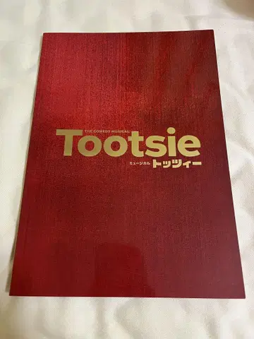 토치 공연 프로그램