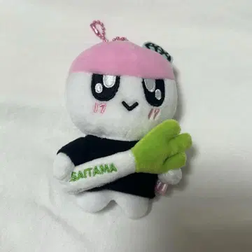 세븐틴 세부치 모자 꽁지 HOLIDAY 사이타마 SAITAMA