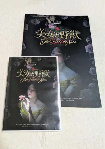 야마카이 미녀와 야수 DVD 및 팜플렛
