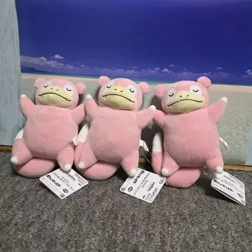 포켓몬 휴식 타임 봉제 인형 야돈 3개 세트