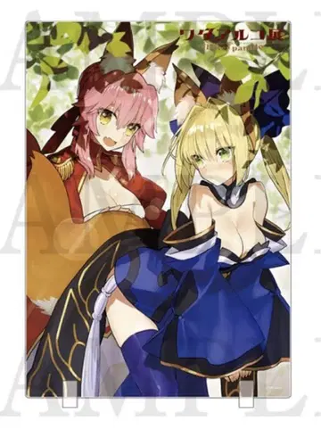 와다 아루코 전 아크릴 보드 타마모 네로 fate fgo 배지 카드 혜택