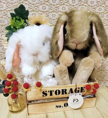 요시토쿠 YOSITOKU 롭이어 토끼 봉제 인형 2개
