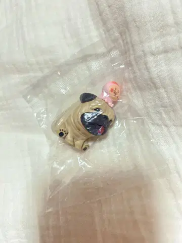 코비토즈칸 오스와리 마스코트 4 시크릿