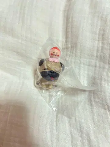 코비토즈칸 오스와리 마스코트 4 시크릿