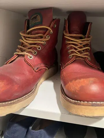 Irish Setter 기무라 타쿠야 러브 제네 레드 윙