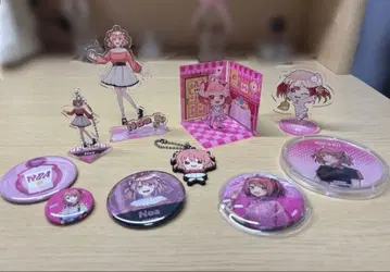 컬러풀 피치 카라피치 노아 묶음 판매