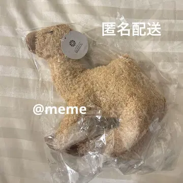 엑스포 카타르 파빌리온 봉제 인형 낙타 라쿠다