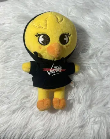 스키즈 straykids 포가리 필릭스 SKZOO