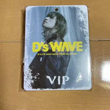 D-LITE 2025년 아시아 투어 VIP 패스
