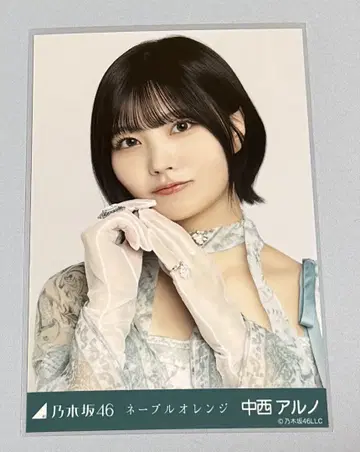 네이블 오렌지 나카니시 아르노