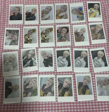 팬더 드래곤 요타 하피카 파라곤