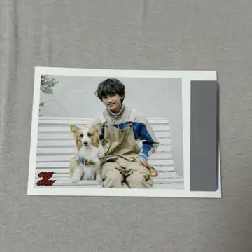 완엔 NAOYA 스크래치