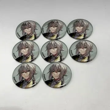 FGO 페스티벌 베디비에르 캔뱃지