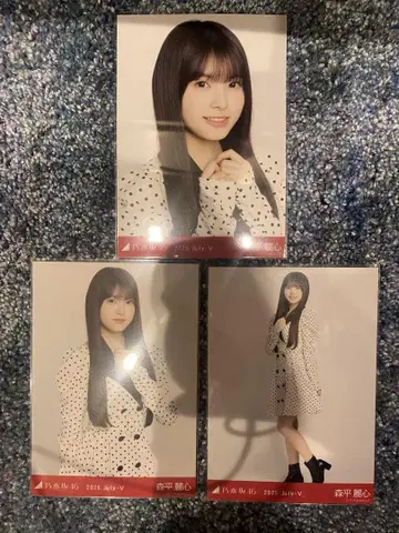 노기자카46 한여름의 전국 투어 2025 브로마이드 도트 모리히라 레이코