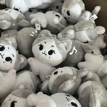 ENHYPEN 정원 냥쭈고 10cm 봉제 인형