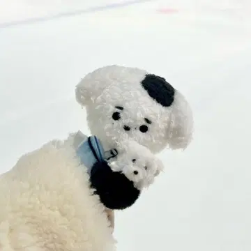 ENHYPEN 송훈 훈김이 10cm 봉제 인형