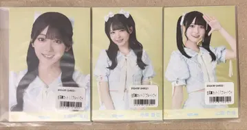 니아 조이 브로마이드 미개봉 새상품 블루 하와이 레몬 가창