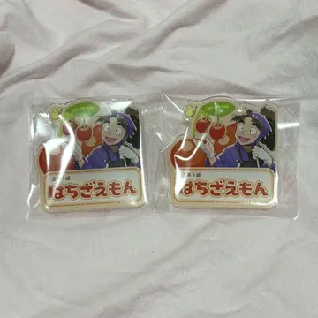 닌자 타마 란타로 스이파라 타케야 하치자emon 네임 배치 2개
