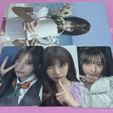 hitgs 트레이딩 카드 비비
