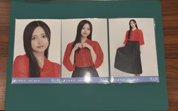이노우에 카즈 메쉬 니트 시즈오카 공연