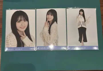 카와사키 벚꽃 메쉬 니트 시즈오카 공연