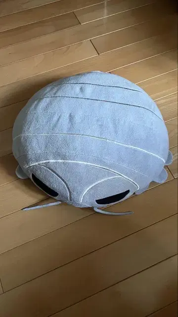 다이오구소쿠무시 쿠션