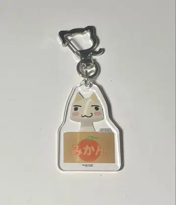 어디서나 함께 토로 아크릴 키링